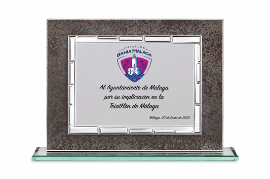 PLACA DE CRISTAL GRIS