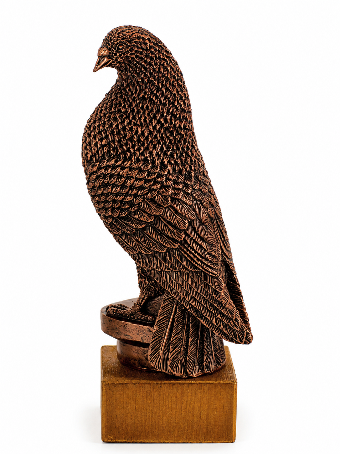 TROFEO PALOMA